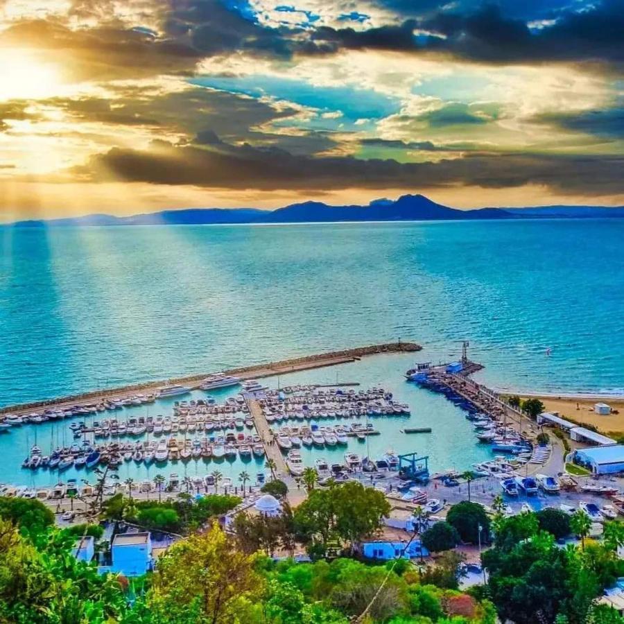 La Deuxieme Perla Sidi Bou Saidヴィラ エクステリア 写真